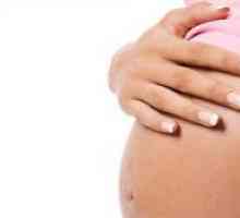 Възможно ли е за бременни жени, за да правят шеллак?