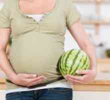 Мога ли да се яде диня по време на бременност?