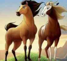 Карикатури за коне
