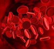 Норма тромбоцити в кръвта на жените