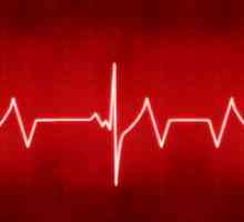 Нормалната човешка сърдечна честота от 40 години насам