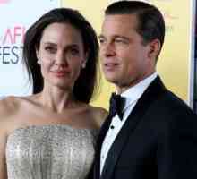 Друга причина за скандала в семейството на Брад Пит и Анджелина Джоли