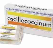 Oscillococcinum бременна