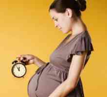 Определяне на бременност седмица по седмица