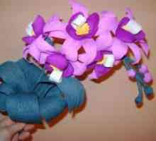 Orchid гофрирана хартия