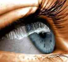 Глаукома с отворен ъгъл