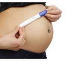 Отрицателният тест по време на бременност