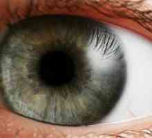 Отлепване на ретината