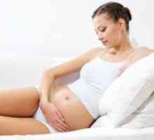 Липсата на токсичност по време на бременност