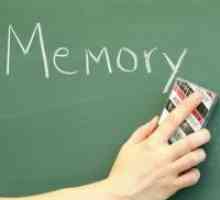 Memory като умствен процес
