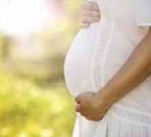 Панкреатин по време на бременност