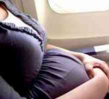 Полет по време на бременност