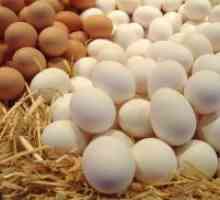Хранителната стойност на яйца