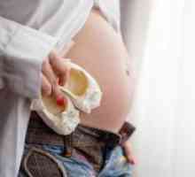 Fetus 18 седмици на бременността