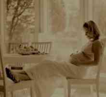 Fetus 24 седмици на бременността