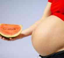 Защо бременните жени не трябва да се яде диня и пъпеш?