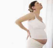 Защо бременните жени не могат да клечат?