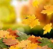 Защо есенни листа пожълтяват?
