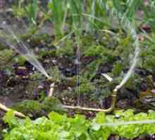 Спринклерни системи за градина