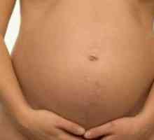 Labia по време на бременност