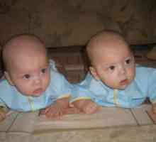 Laid дали майката капитал при раждането на близнаци?