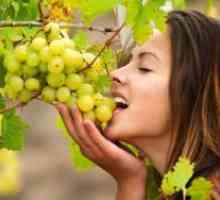 Ползите от грозде