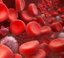 Повишени бели кръвни клетки в кръвта - причини
