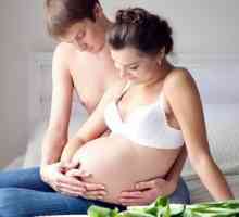 Секс позиции по време на бременността
