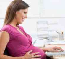 Правата на работещите бременни жени