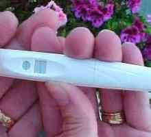 Причините за отлагане на менструацията (с изключение на бременността) на