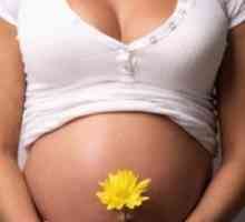 Признаци за бременни