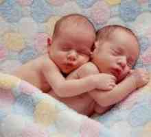 Признаци на близнаци в ранна бременност