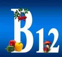 Храни, съдържащи витамин В12