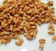 Пшеничен зародиш диета