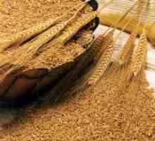 Пшенични трици за загуба на тегло