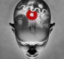 Психиката и съзнанието