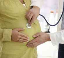 Пулсиране в стомаха по време на бременност