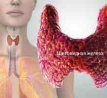 Пробиването на щитовидната жлеза