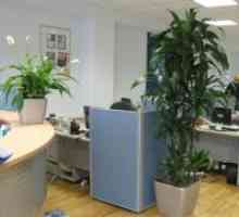 Офис Растения