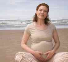 Размерите на матката по време на бременност