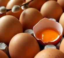 Muskoka рецепти за коса с яйце