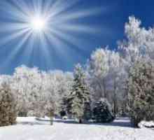Ритуали на зимното слънцестоене