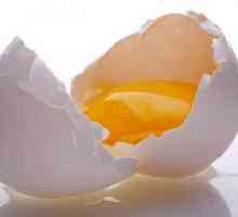 Ролята на яйчен протеин в козметологията