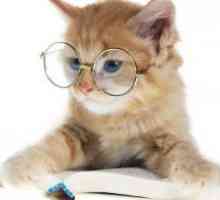 Най-интелигентни породи котки