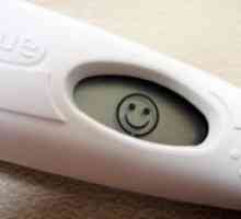 Най-точният тест за бременност