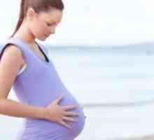 Седловидна матка и бременност