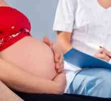 Шийката на матката по време на бременност - в норма за седмица