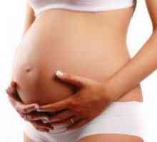 Шийката на матката по време на бременност