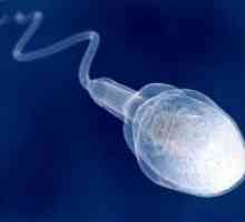 Колко живи сперматозоиди във влагалището?