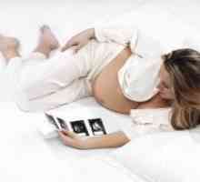 Ултразвукова проверка по време на бременност